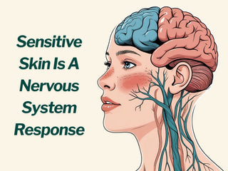 nervous system connection with skin sensitivity