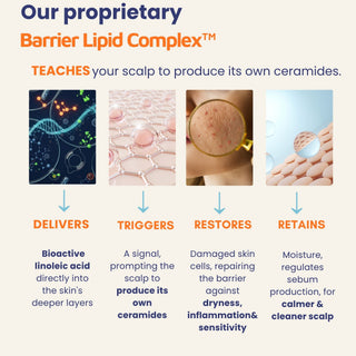 Diagram explaining the Barrier Lipid Complex with images and text on a white background
