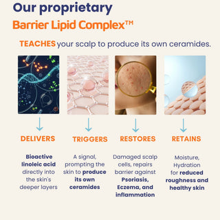 Diagram explaining the Barrier Lipid Complex with images and text on a white background