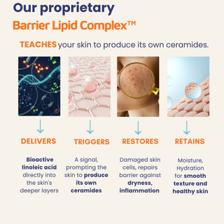 Diagram of a skincare product's barrier lipid complex with text explaining its functions.