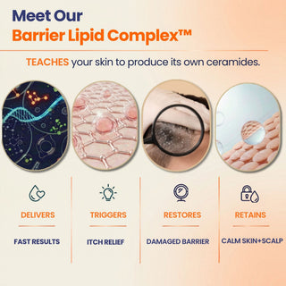 Barrier Lipid Complex technology teaches skin and scalp to produce ceramides for faster itch relief, skin barrier repair, reduced flaking and long-lasting hydration.