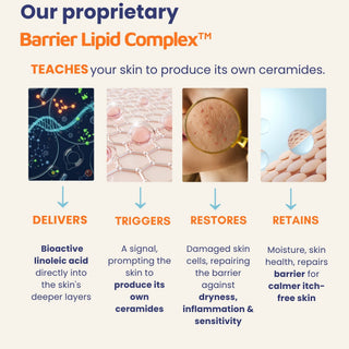 Barrier Lipid Complex™ in Calming Anti Itch Lotion delivers bioactive linoleic acid to stimulate ceramide production, repair the skin barrier, reduce inflammation, and provide lasting relief from itchy skin and scalp.