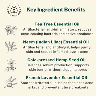 Key natural ingredients in Acne Control Cream: Tea Tree, Neem, Hemp Seed, and Lavender oils for acne scars and breakouts