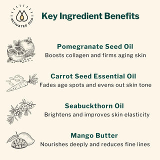 Key ingredients in Age Defying Cream – pomegranate oil, carrot seed oil, sea buckthorn oil, and mango butter for collagen, glow, and wrinkle reduction.