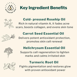 Key ingredients of Clarifying & Regenerating Cream – Rosehip Oil, Carrot Seed Oil, Helichrysum Oil, and Turmeric Root Oil for pigmentation and acne scars.