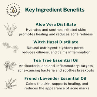 Key ingredients in Oil Balancing Skin Tonic – Aloe Vera, Witch Hazel, Tea Tree Oil, French Lavender for acne-prone skin.